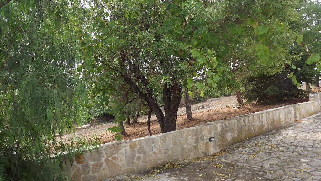 Villa Apollonia B&B Monopoli Eksteriør billede