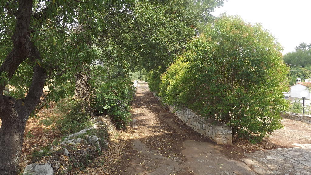 Villa Apollonia B&B Monopoli Eksteriør billede